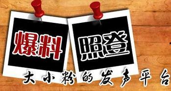 海南当地新闻爆料平台电话,揭秘本地热点事件背后的真相